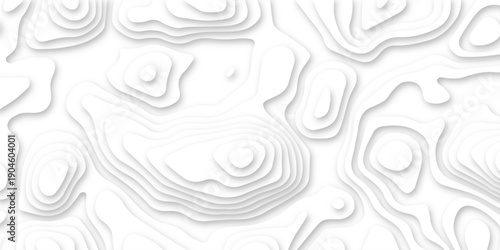 Dynamic topographic design elements forming soft flowing contours. white paper cut abstract layers. contemporary abstract shapes forming seamless layered topographic designs.
