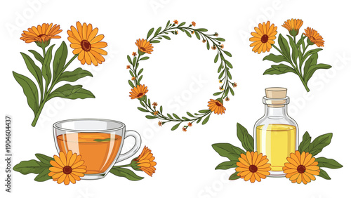 Collection of calendula flower elements including a cup of herbal tea, a bottle of essential oil, a floral wreath, and blooms.
