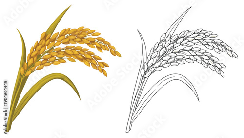 Harvested rice ears with golden husks shown in a detailed color version and a simple black and white line art style for farming.