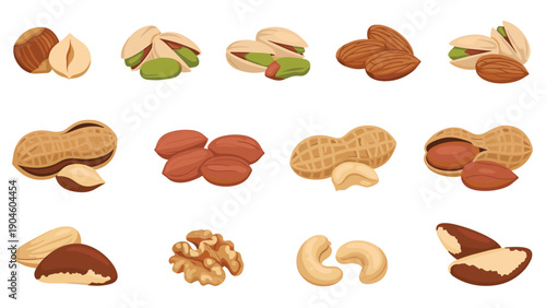 Assorted varieties of nuts including walnuts, almonds, pistachios, cashews, peanuts, and hazelnuts arranged in rows on a white background.