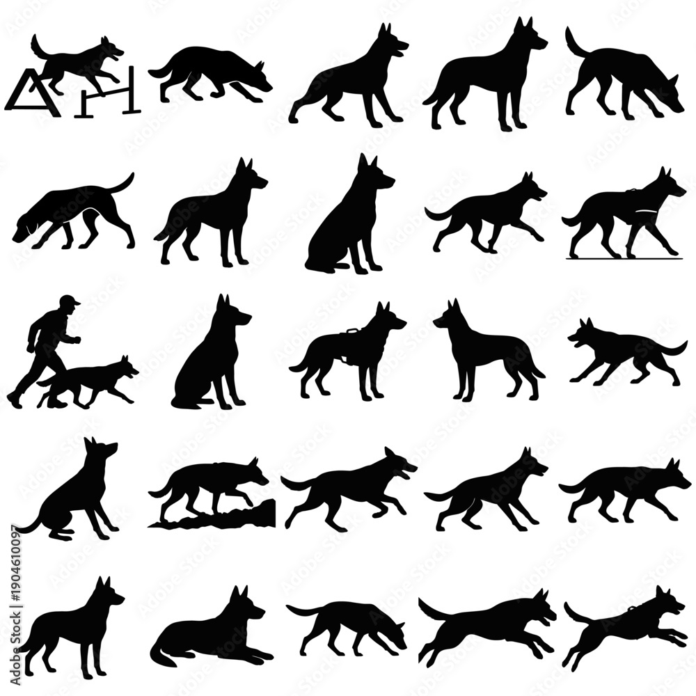 Obraz premium Silhouette of a Dog's Lower Body and Legs in Black
