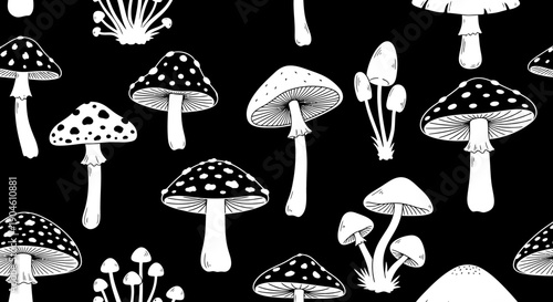 Black and white illustration of various mushrooms on a dark background.