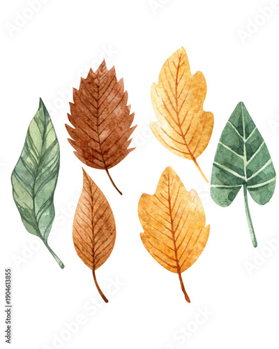 set of autumn leaves