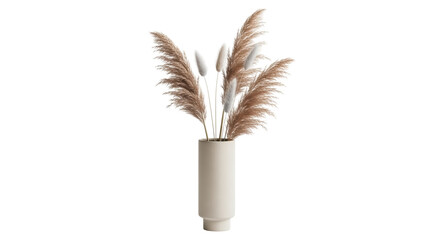 Pampas grass in beige vase isolated PNG, decorative dried flowers arrangement for modern interior design and bohemian home decor