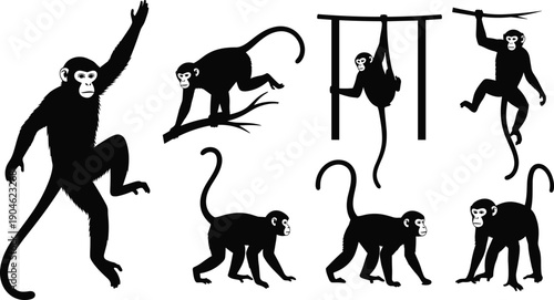Monkey silhouette illustration set showing chimpanzee movements climbing jumping hanging walking playful animal poses isolated on white background vector design collection