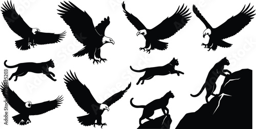 Wildlife predator silhouettes set featuring flying eagles hunting and leaping panthers in powerful black white vector illustration collection dynamic nature action