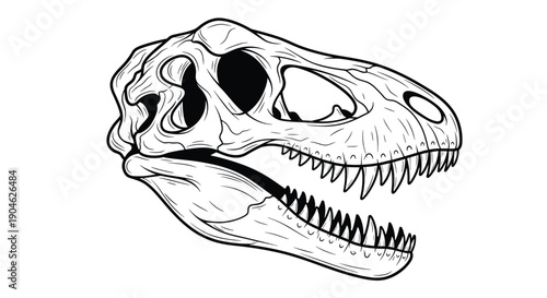 Detailed black and white line drawing of a Tyrannosaurus rex dinosaur skull showing anatomical features and sharp teeth structure.