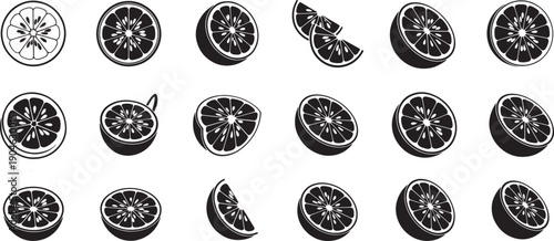 A collection of black and white illustrations of various citrus fruits, including oranges and sliced oranges, showcasing their textures and segments