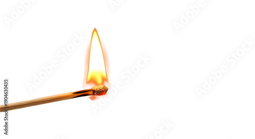 Bilde på lerret Burning matchstick with vibrant flame isolated on transparent background, perfec