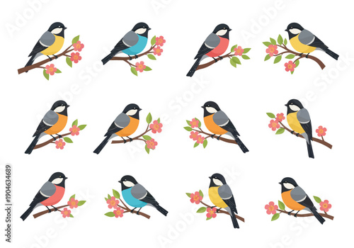 Cute colorful birds sitting on blossoming branches set, spring garden wildlife illustrations perfect for nature design