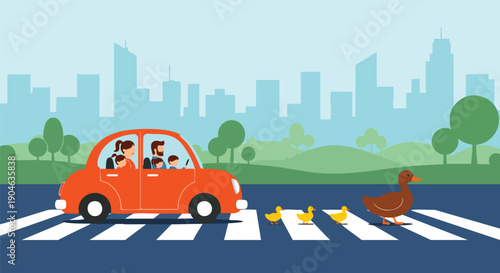 Family in car stops for ducks crossing a busy city street on a zebra crossing, urban travel scene.