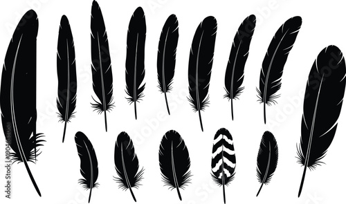 "Flowering plant silhouette illustration set in black design featuring four unique floral arrangements with blossoms, leaves, and stems for decorative, botanical, and artistic purposes"