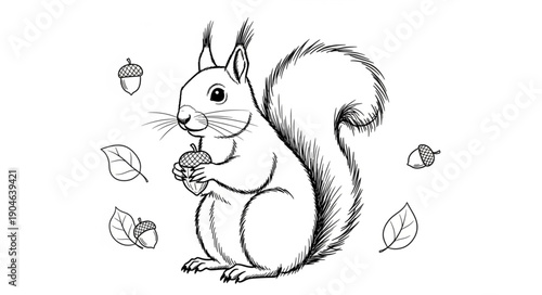Hand Drawn Squirrel Holding Acorn Surrounded by Leaves and Acorns.