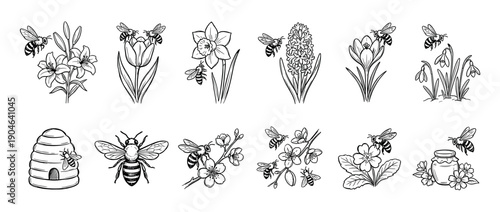 Hand-drawn black and white illustrations of bees pollinating various spring flowers, including a beehive, honey jar, lily, tulip, and daffodil in a vintage sketch style