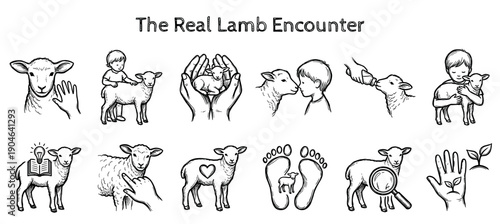 Collection of hand-drawn lamb icons showing interactions with people and symbolic concepts like love, care, and knowledge in a simple black and white sketch style illustration set