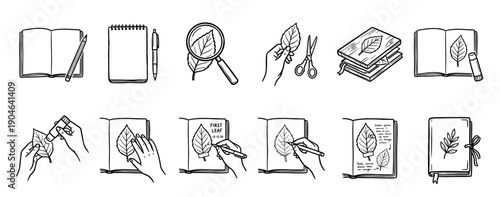 Hand-drawn herbarium creation icon set showing the step-by-step process of collecting, pressing, and journaling a leaf in a notebook for a botany hobby or school project