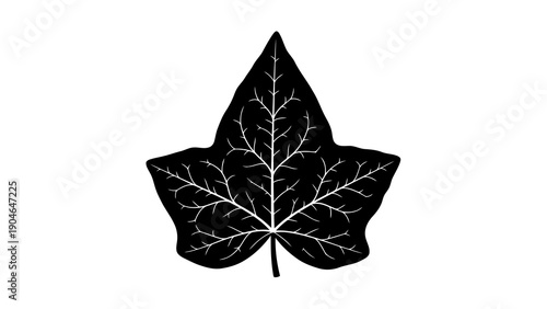 Black leaf silhouette with white veins on white background