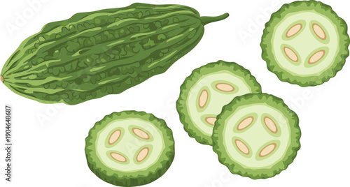 Bitter Melon and Sliced Gourd Collection Flat Vector Illustration Set Isolated on White Background