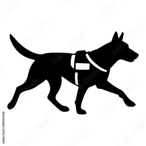 Empty white background with no objects or features silhouette