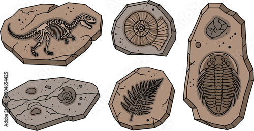 Hand Drawn Fossil Collection Set with Dinosaur Skeleton Trilobite Ammonite and Leaf Imprint Isolated on White Background Vector Illustration