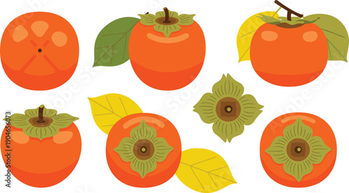 Persimmon Fruit Variations Collection Flat Vector Illustration Set Isolated on White Background