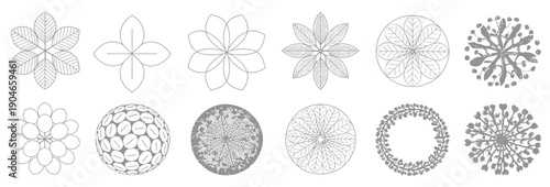 versatile tree top view vector illustration set, architectural and landscape planning resource, natural tree silhouettes for maps and layouts.