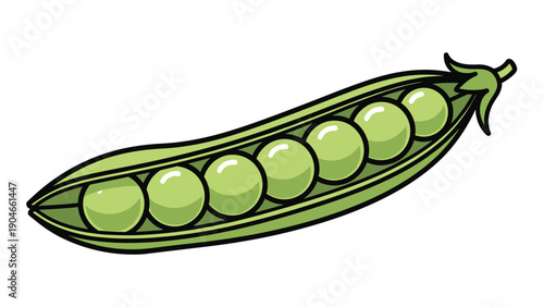Green pea pod opened to reveal a row of round ripe peas inside shown with green leaves and a stem on white background.