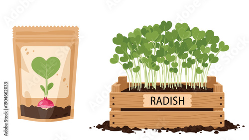 Packet of radish seeds next to a wooden crate with growing radish microgreens for home gardening and organic farming.