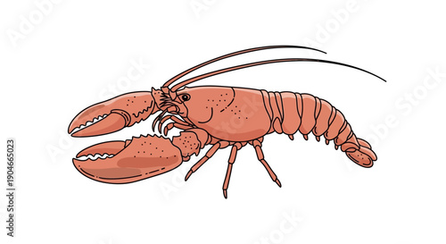 A digital illustration of a lobster viewed from the side, showcasing its claws and antennae in detail.