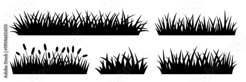 Grasses silhouette set with various heights and styles for design elements featuring silhouettes, black, white with simple and graphic elements for illustration, vector projects, clean composition on