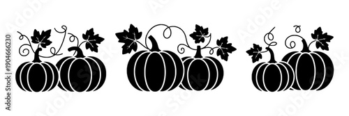 Pumpkins vine silhouette set with curling tendrils and maple leaves, autumn harvest border elements in black, decorative Halloween squash clipart on white