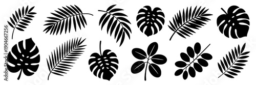 Leaves tropical silhouette set with various shapes and black outlines featuring foliage, plants, floral with graphics and design elements elements for decorative, exotic projects, clean composition