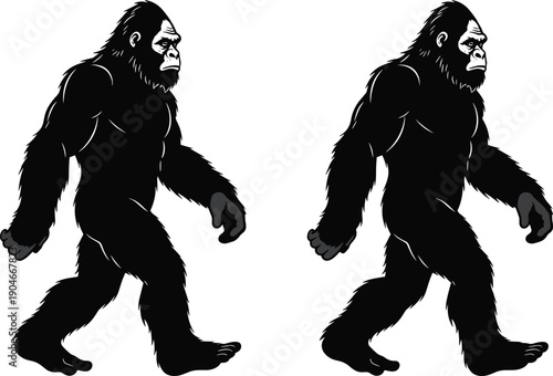 Walking Bigfoot silhouette vector illustration, Sasquatch mythical creature design, wild ape man monster, black legend figure isolated on white background, yeti symbol.