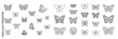 Butterflies line art set with various designs and patterns in black featuring white, minimalist, simple with elegant and delicate elements for insects, wings projects, clean composition on simple