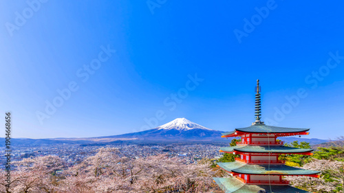 富士山と満開の桜・新倉山浅間公園