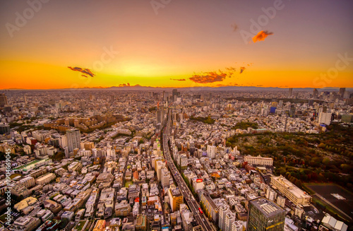 東京大都会夕景と富士山