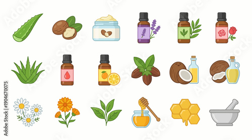 Collection of Essential Oils and Natural Ingredients.