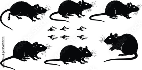 Rat silhouette set, black mouse vector collection, wild rodent illustration, pest control icons, isolated mammal symbols, paws footprints track, sewer animal design