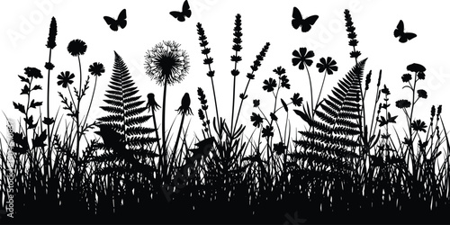 Meadow grass silhouette with flowers butterflies and fern, nature summer field vector illustration, floral spring garden border design element isolated on white background.