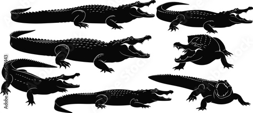 Crocodile silhouette set, black alligator vector collection, wild reptile illustration, angry predator icons, isolated swamp animal symbols, nature wildlife design, safari zoo art