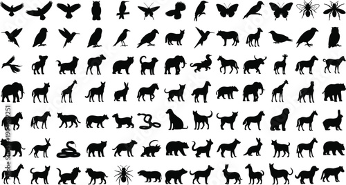 Big collection of animal silhouettes, bird insect mammal vector icons set, wild and domestic creatures, zoo nature design elements isolated on white.