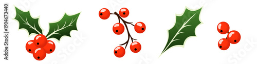 vector illustration: set of christmas holly berry and holly leaves isolated on white or transparent png