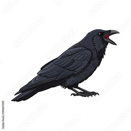 Illustration of a black crow standing with its beak open on a white background