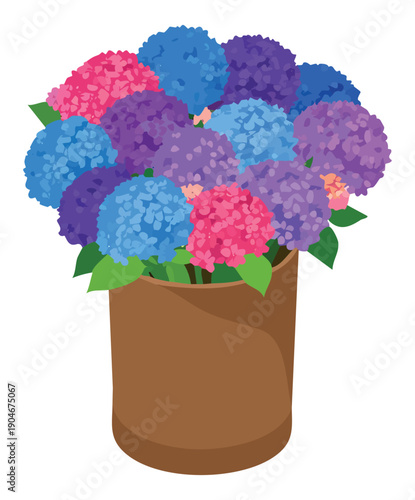 Lush bouquet of colorful hydrangea flowers in a round brown box. Beautiful garden blossoms in pink, blue, and purple colors. Vector illustration for florist shop, delivery, and gift design.