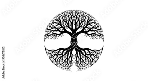 Circular Tree of Life Symbol with Intertwined Roots on isolated white background