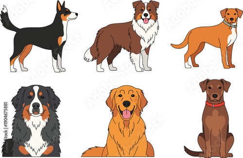 Vector illustration set of various dog breeds featuring Golden Retriever, Australian Shepherd, Bernese Mountain Dog, and others isolated on white background.