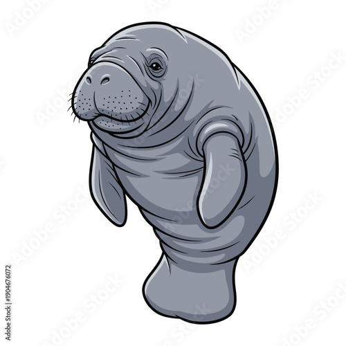 Illustration of a smiling manatee standing upright on a white background.