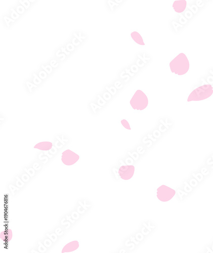 벚꽃 꽃잎 꽃가루