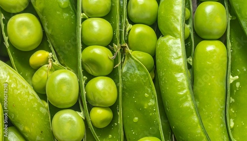 Close-up Macro Shot of Fresh Green Peas in Pods.