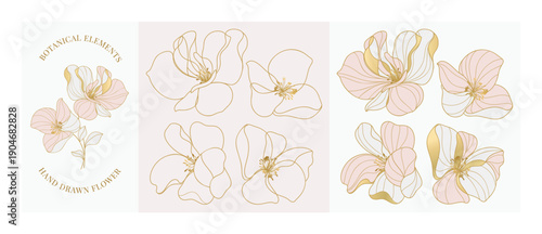 Floral elements vector background with set of hand drawn blossoms with pastel fills and gold outlines in pink and peach and gold. Cute design for scrapbook, logo, sticker, print.